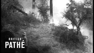 Fires Scorch 300 Square Miles (1965)