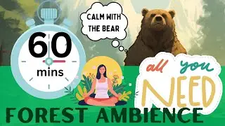 🌲 60-Minute Forest Ambience Timer | Relaxation, Focus, and Sleep Sounds 🦉
