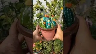 I Made Cactus Plant Out of Rocks #diy #cactusdiy #craft