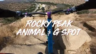 ROCKY PEAK - ANIMAL & G SPOT Trails