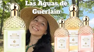 NEROLIA VETIVER AQUA ALLEGORIA- PERA 🍐 GRANITA- ROSA 🌹 ROSSA- MANDARINE BASILIC by Guerlain