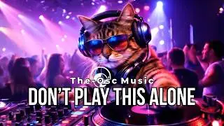 DJ CAT Just Took Over the Club 🐱🎧 | EDM & Hip-Hop Party Mix