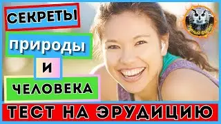 Викторина для всех 40 | Тест на эрудицию | Квиз онлайн
