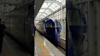 Nankai Limited Express Rapid #shorts #train #osaka #japan #travel #highlights #subscribe #like