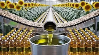 How It's Made Incredible Sunflower Oil Production Process in Giant Factory