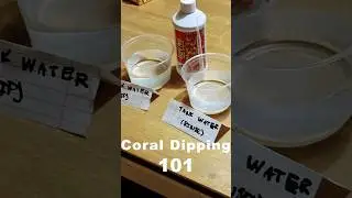 The Secret Weapon Every Reef Tank Needs!