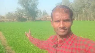 Gaon ki kheti aur hariyali 👏#virl#vlog#video 🙏🙏 hai 👏🙏