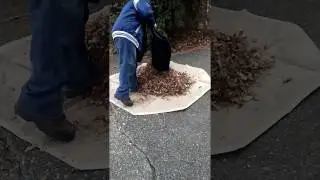 The Original Rake or Sweep In Bag
