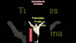Bailecito para pasar el conocimiento. #hahtech #devops #gatos