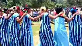 Aruku Adivasi Dimsa Cultural Dance