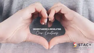 Understanding & Regulating our Emotions | How your Emotions Impact your Ability to be Effective