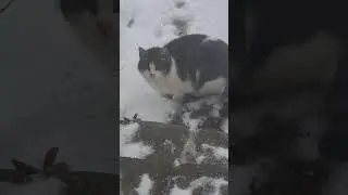 I will try when it's warmer in spring