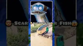📍SCARY MONSTER FISH 😱 ON GOOGLE MAPS