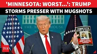 'Hate To See Ilhan Omar': Trump Goes On Minnesota Somalia Fraud Rant, Defends ICE | Watch