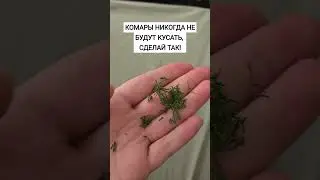 Комары никогда не будут кусать! #комары #откомаров #огород #лес #природа #дача #лайфхак