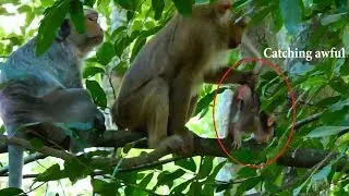 OMG! Bonita Awful experience catch & Carry Jayden run so fast | Pity Jayden scare fall cry loudly