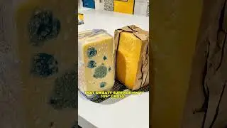 The Moldy Cheese Mistake!