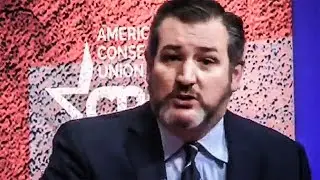 Creepy Ted Cruz Says Democrats Have Gone &ldquo;Bat Crap Crazy&rdquo;