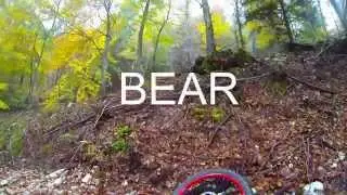 Mountain Unicycle -