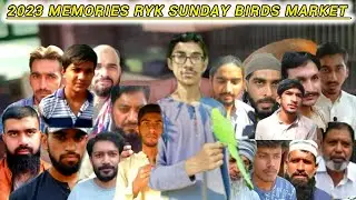2023 Memories of Rahim Yar Khan Sunday Birds Market|Hammad Birds RYK