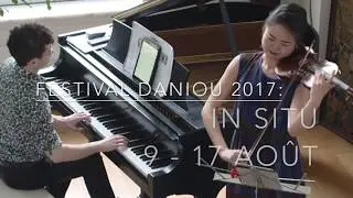 FESTIVAL DANIOU 2017: IN SITU