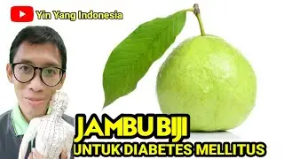 HOW TO MAKE GUAVA SEEDS FOR DIABETES MELLITUS HERBAL TREATMENT