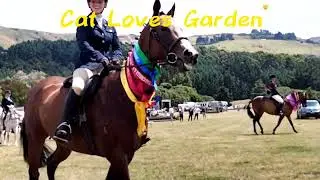 Event Vlog: A&P Show Duvauchelle | dog race | Horse racing #horse #dog #event | Cat Loves Garden