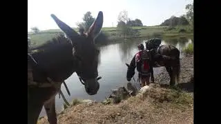 GR59, Septembre 2020, quelques part entre le Doubs et les Vosges