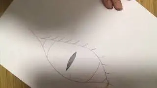 How to draw a Reptile Eye by: Kiwon Lee