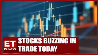 Which Stocks Were Buzzing In Trade Today? | Stock News