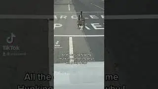 Saving a duck family 🦆💚 #ducks #duckfamily #saving #savinganimals #savingducks