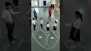 Exploring the intricacies of double circulation: students dive into the heart's dynamic rhythm.