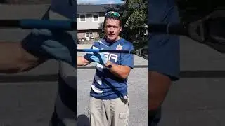 BAT REMOVAL NEAR ME NJ - CALL (973) 388-9126