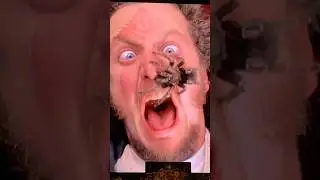 Home Alone Spider Scene (Marv Screams!!!)