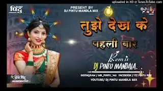तुझे देख के पहली बार मेरा दिल धड़का है ।