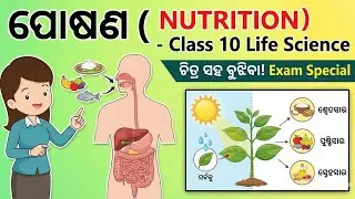 Posana ( Nutrition )| Class 10 Life Science Chapter 1 | Full Explanation in Odia | Biswaksen Classes