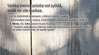 Puhdas ruoka