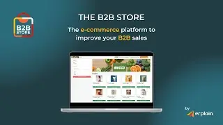 B2B Store, order-taking platform for B2B companies