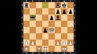 Kazimierz Makarczyk-W. Rivier, Hague 1928, Result: 0-1