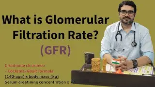 WHAT IS GLOMERULAR FILTRATION RATE (GFR)🥼🩺
