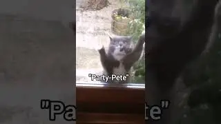Not 