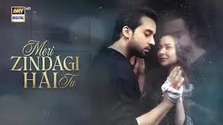 Mari zindgi hai tu song pakastani song #automobile 