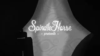 Dimension Films / Spindlehorse / Teletoon Original Production (Hazbin Hotel)