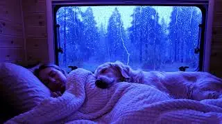 Tranquil Sleep Experience with Rain and Thunder for Mindful Rest