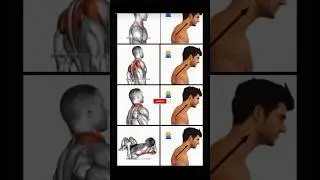 #fitness #tips #motivation #trending #youtube #viral #video #yt #viral #trending #shorts #edit