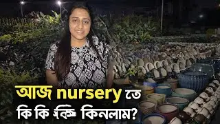 আজ nursery তে কি কি গাছ 🌳🌳কিনলাম?  More plants, more happiness 🌱❤️💚