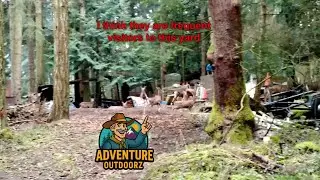 Wild Deer Roaming Salt Spring Island