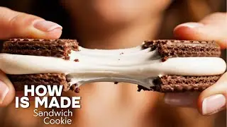 Inside a Sandwich Cookie Factory Making Thousands Every Day