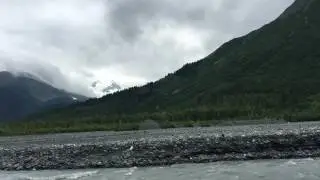 Outwash Plain, Exit Glacier (Alaska)