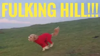Fulking Hill and Other South Downs Adventures (Friday Forest and Country)